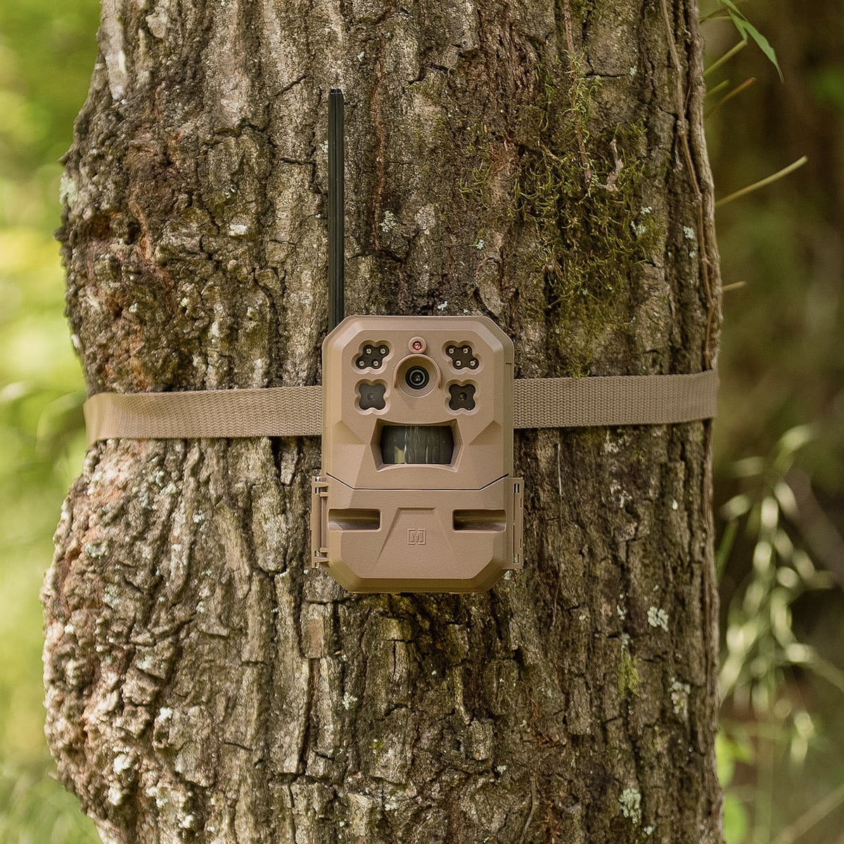 33MP Cellular Trail Camera with Built-in Memory (2-Pack) K358712
