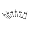 1/4 in. - 2-1/8 in. Forstner Drill Bit Set, 16 Piece B336