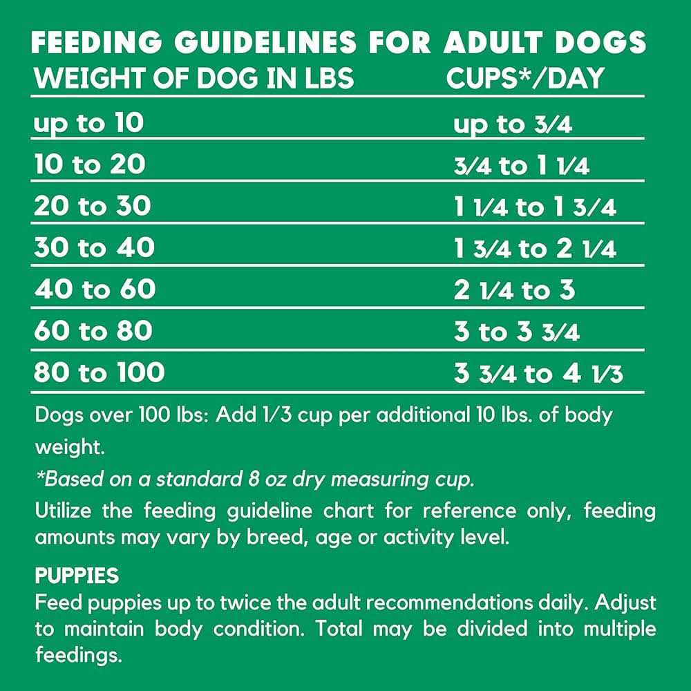Vegetarian Formula Dry Dog Food P634