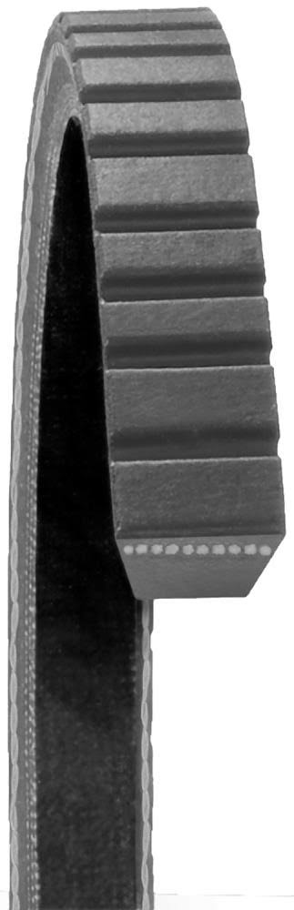 Accessory Drive Belt X832