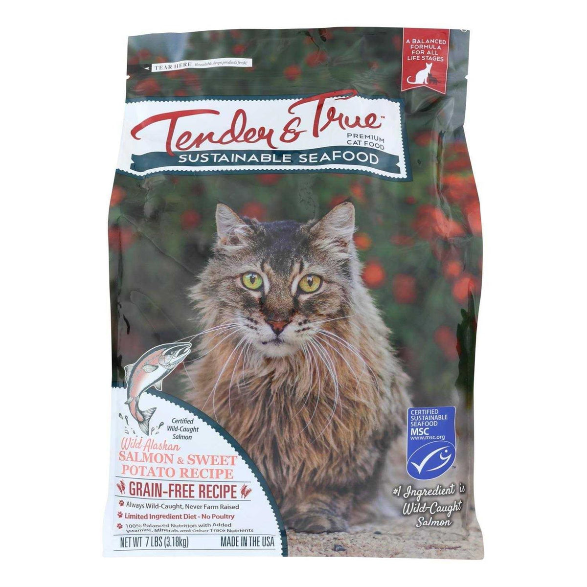 Salmon & Sweet Potato Recipe Dry Cat Food V528