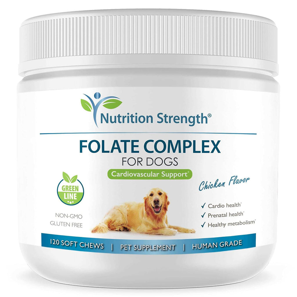 Folate for Dogs M563