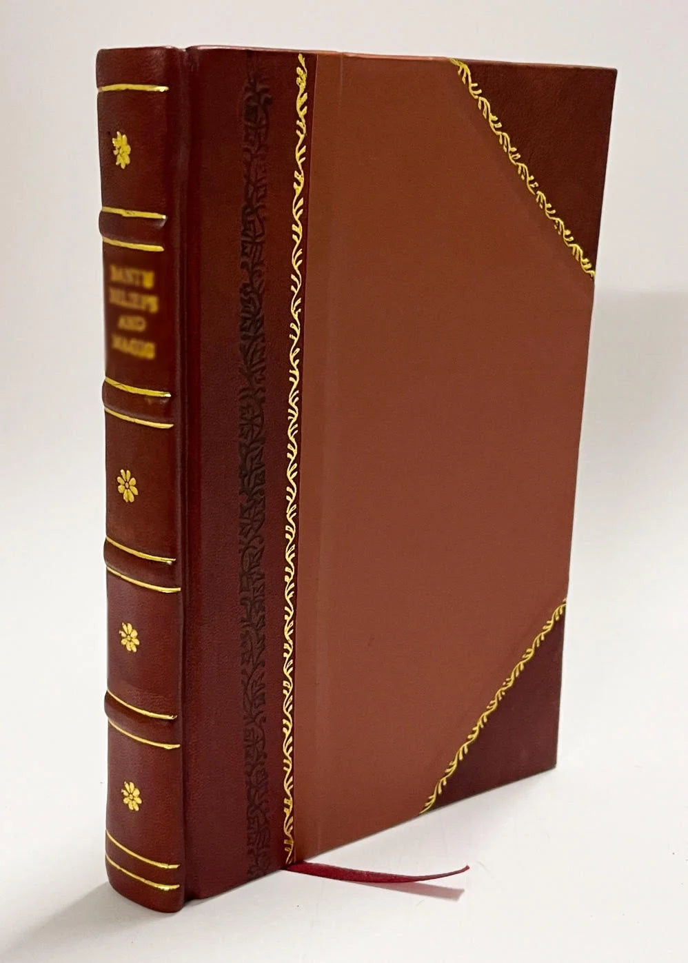 Leather Bound Book V34806