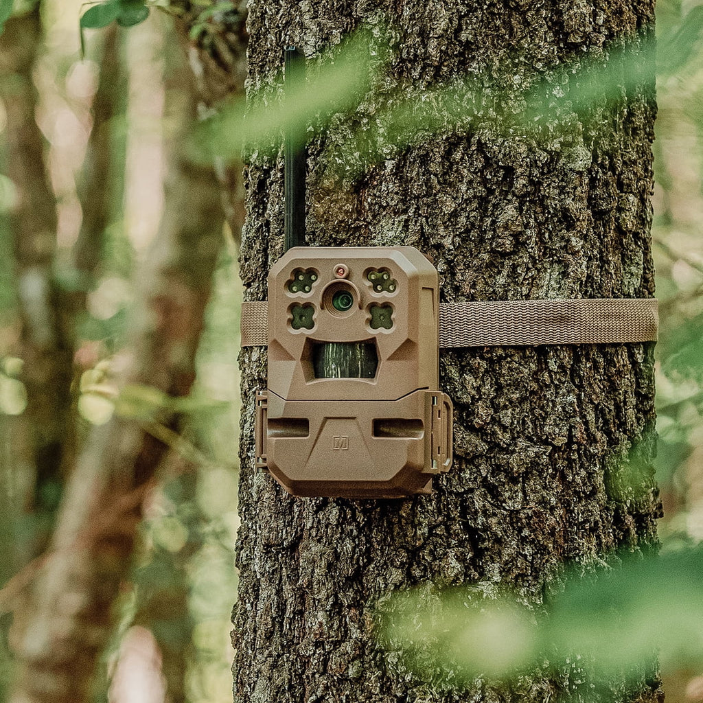 33MP Cellular Trail Camera with Built-in Memory (2-Pack) K358712