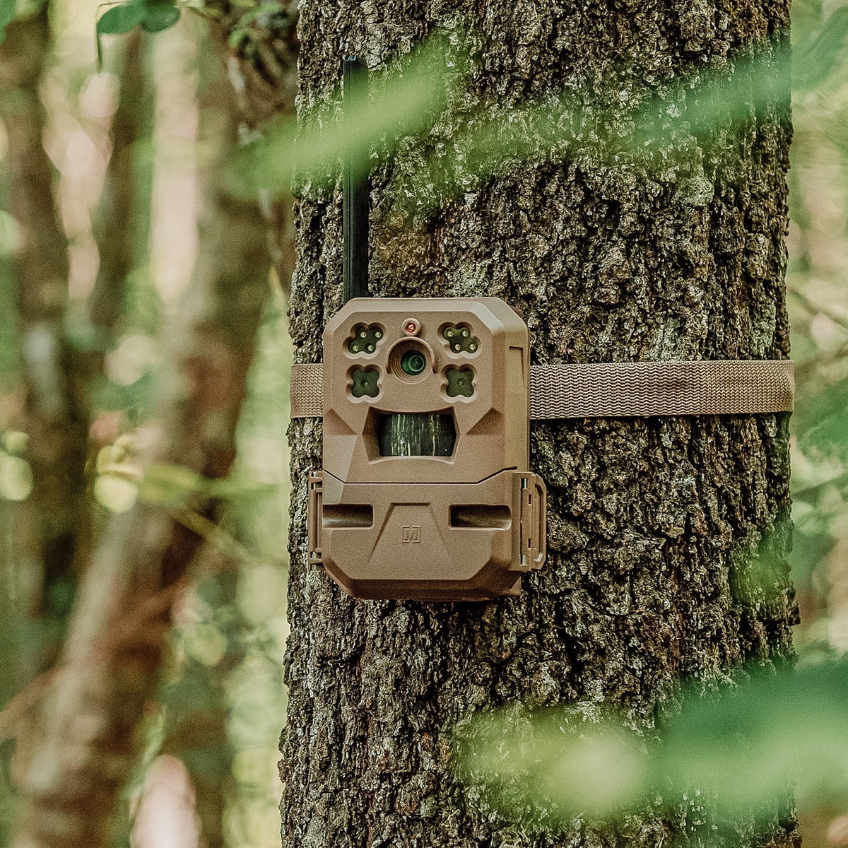 33MP Cellular Trail Camera with Built-in Memory (2-Pack) K358712