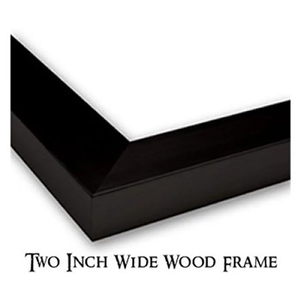 Black Modern Framed Museum Art Print A81509