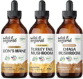 Lion's Mane, Turkey Tail & Chaga Mushroom Tinctures X967613