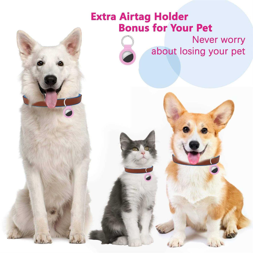 Retractable Dog Leash Y450685