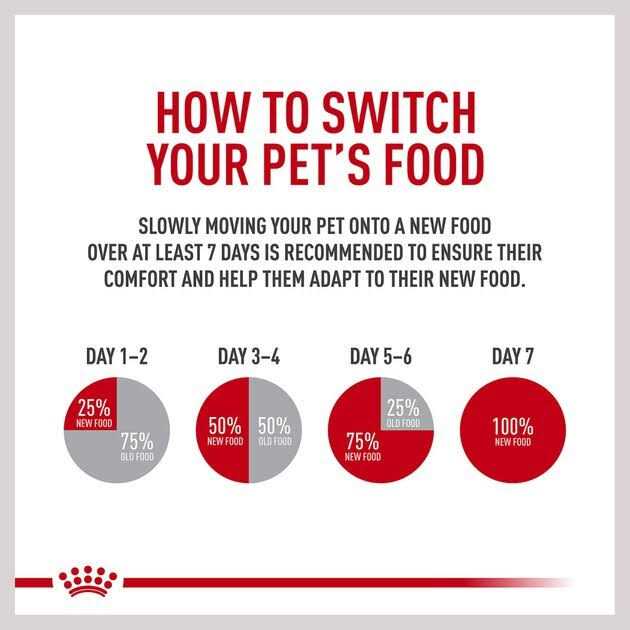 Adult Dry Dog Food D182