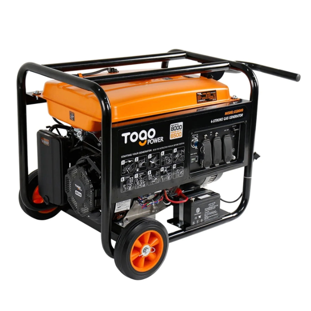 Portable Gasoline Powered Generator 8000 Watt H201