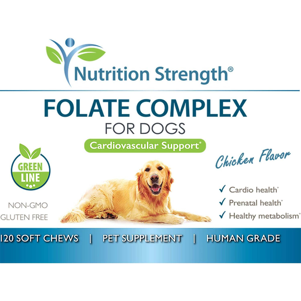 Folate for Dogs M563