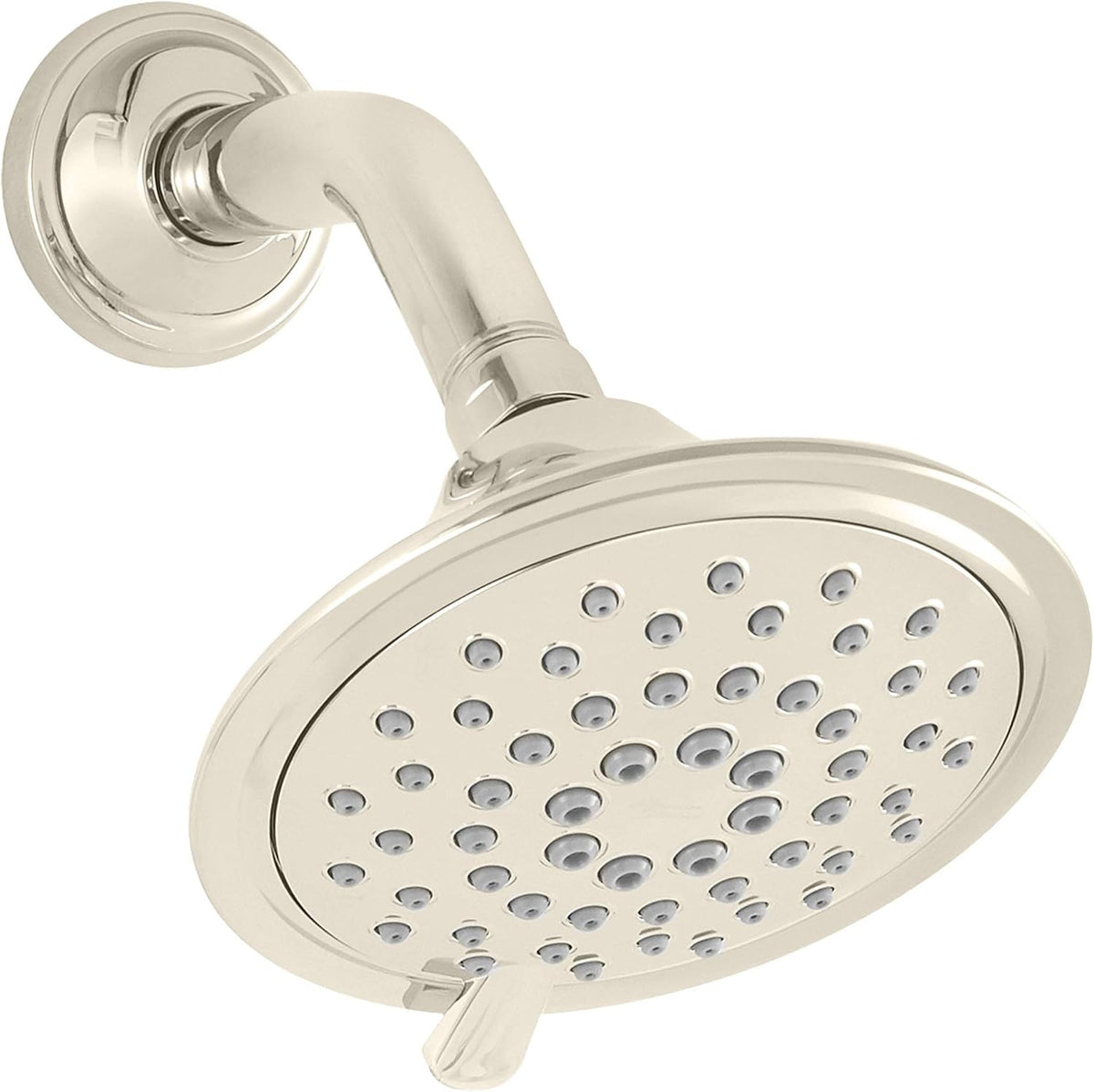Polished Chrome 2.5 GPM Shower Head W799