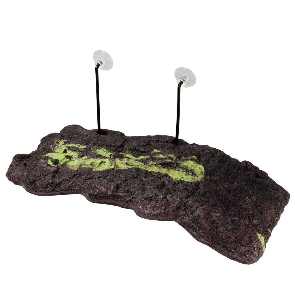 Floating Turtle Dock O637850