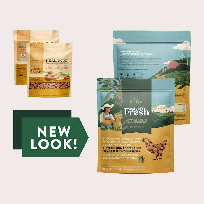 Grain Free Chicken Recipe Dog Food P770929