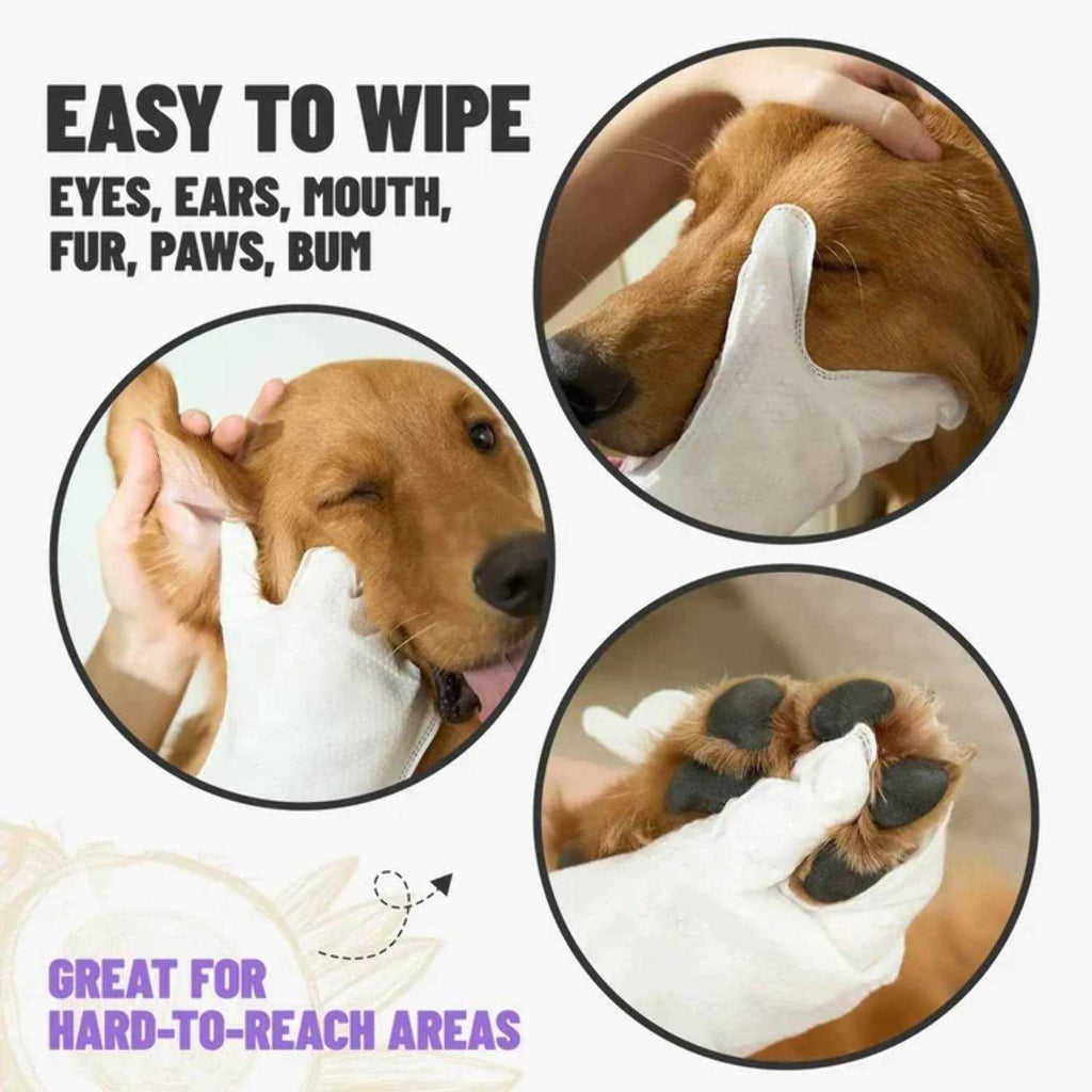 Deodorizing Pet Glove Wipes 20 pc F44180