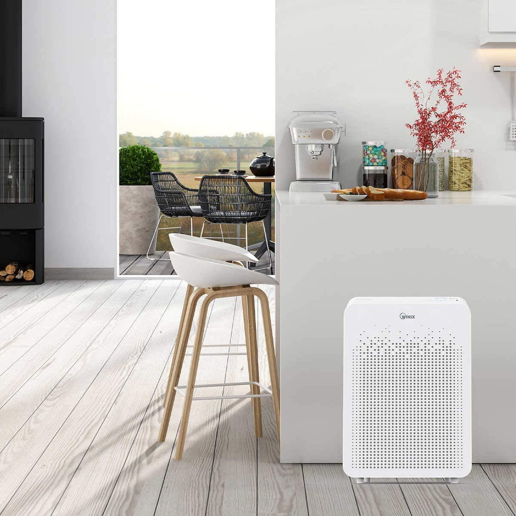 Air Cleaner with PlasmaWave Technology U951764