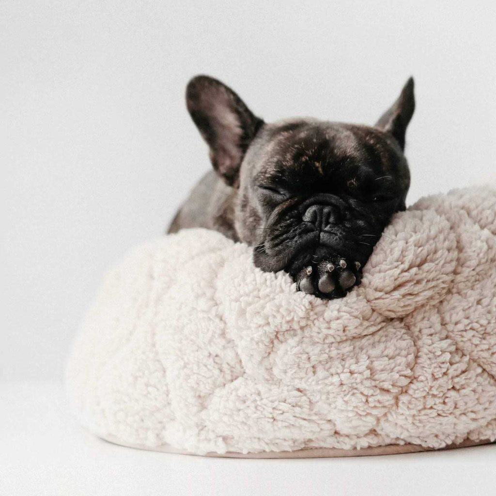Reversible Donut Pet Bed V92430