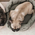 Reversible Donut Pet Bed V92430