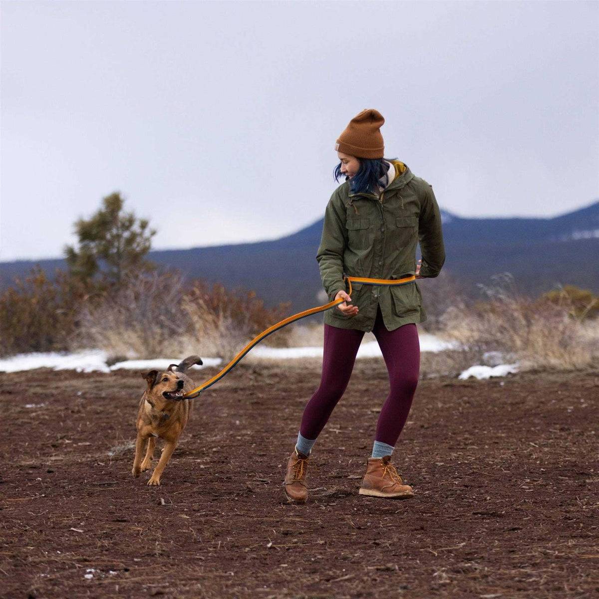 Leash O254