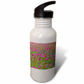 Sports Water Bottle O388