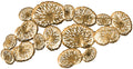 Gold Coral Plate Wall Decor M697