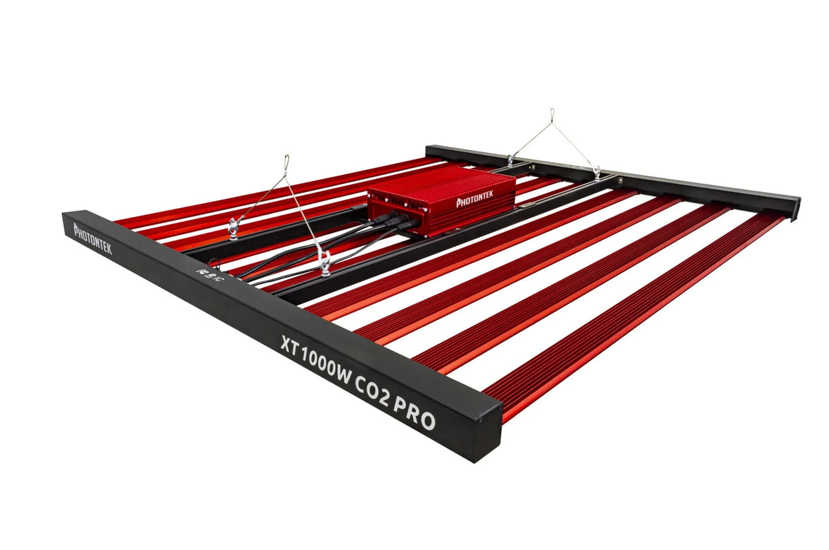 CO2 Pro LED 1000W P12912