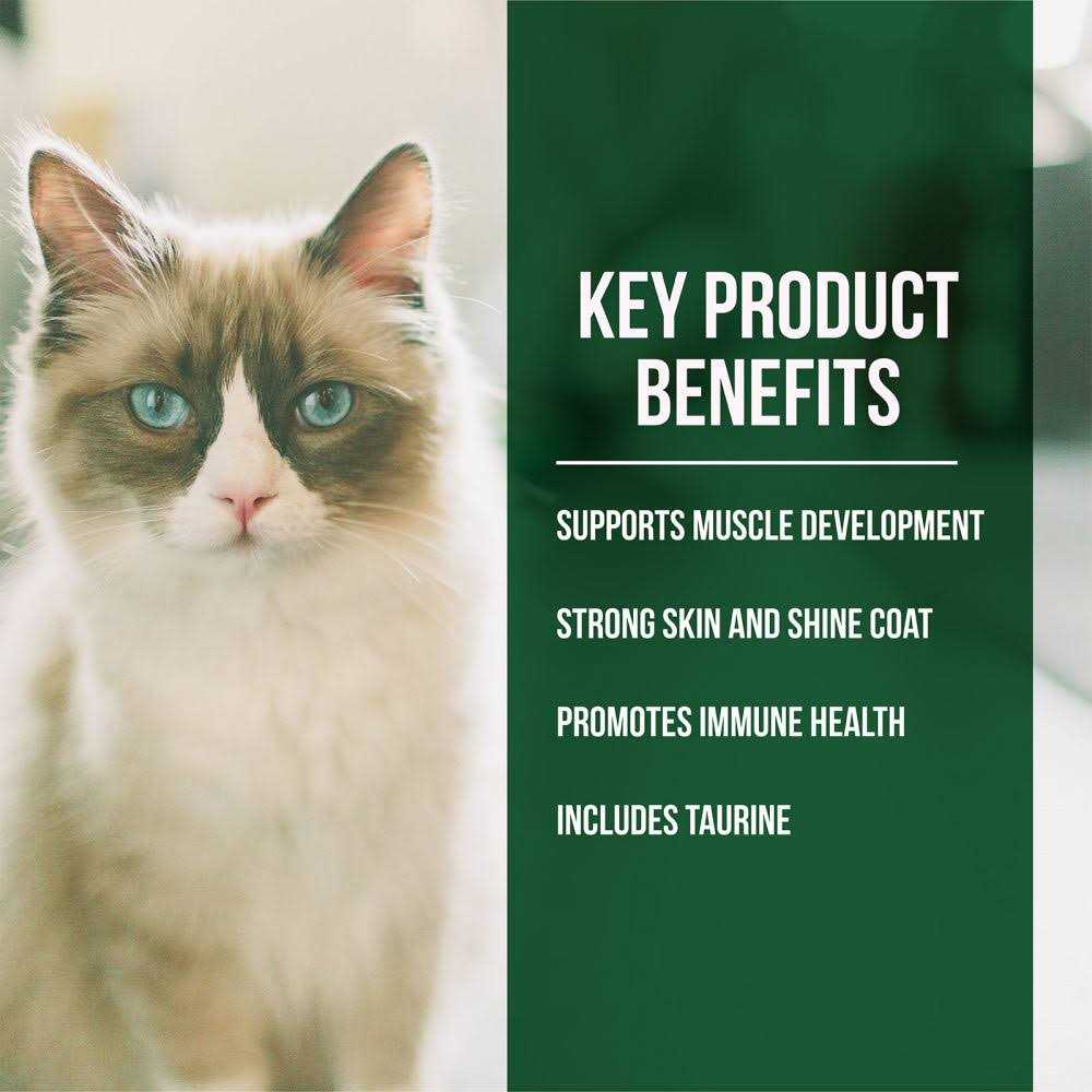 Salmon Chicken Dry Cat Food D743