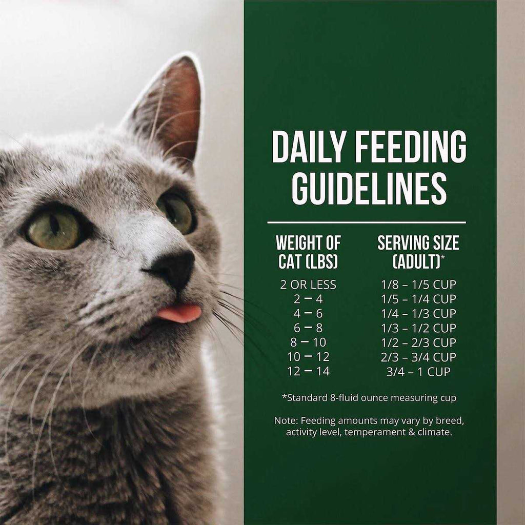 Salmon Chicken Dry Cat Food D743