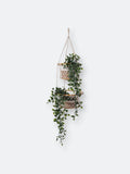 Brown Double Hanging Basket C550