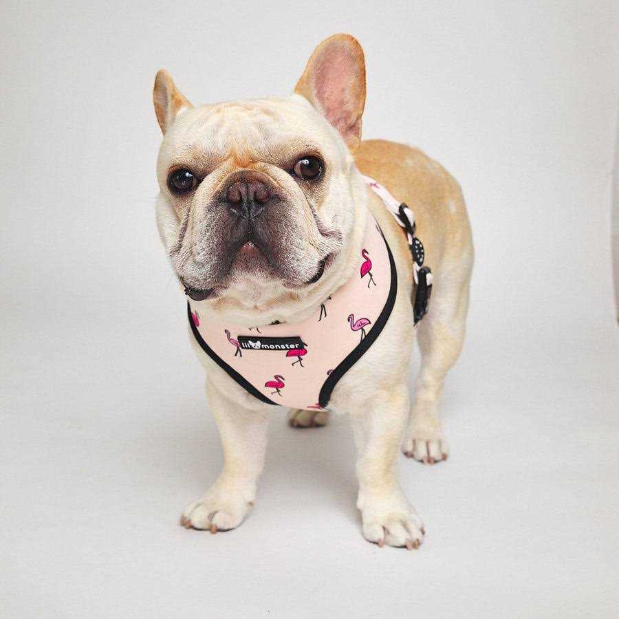 Reversible Dog Harness X243