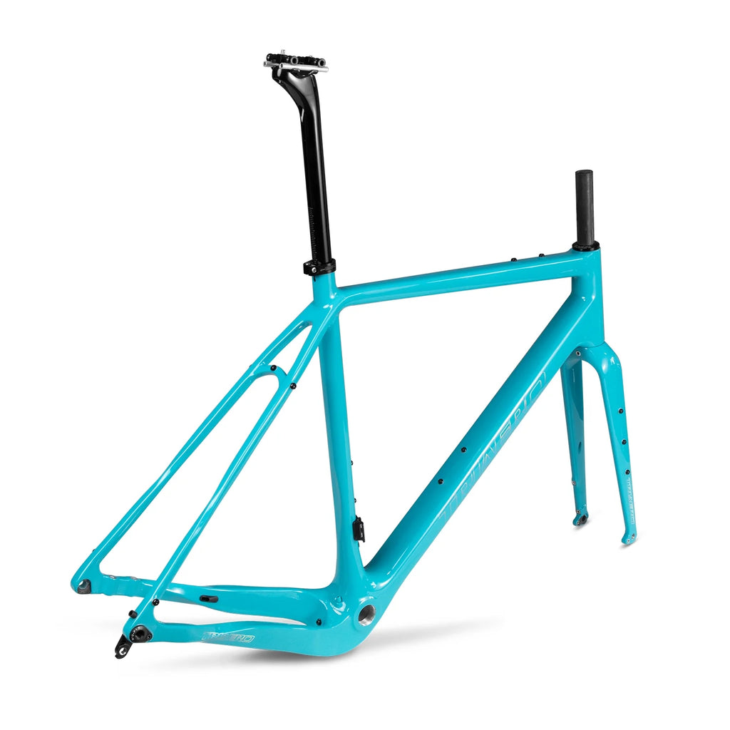 Blue Carbon Gravel Bike Frameset Q83501
