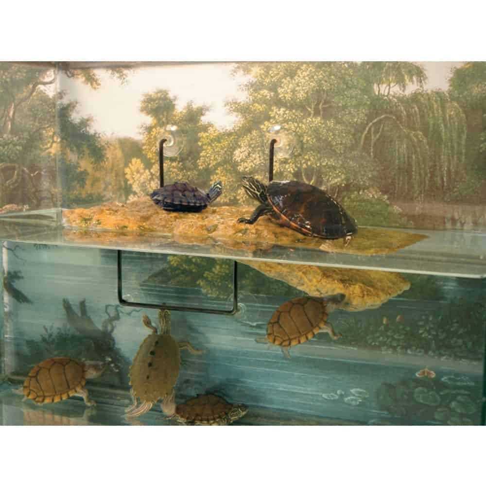 Floating Turtle Dock O637850