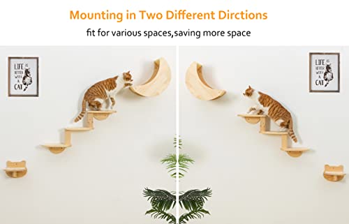 Solid Wood Cat Wall Shelves 3pcs/Set C868