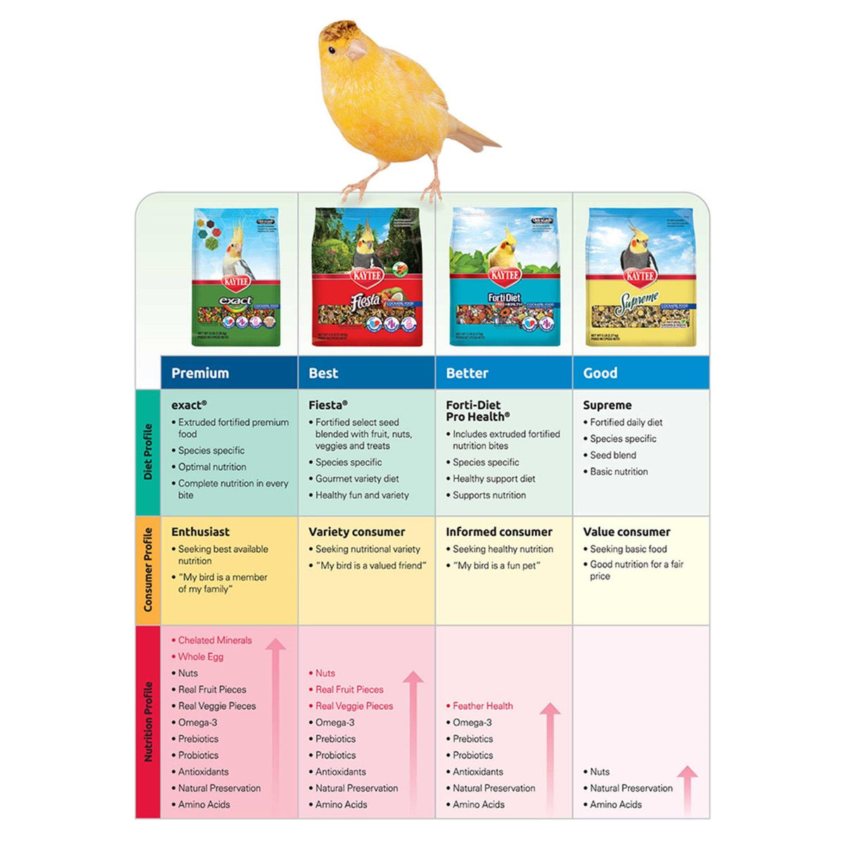 Chunky Parrot Food X81068