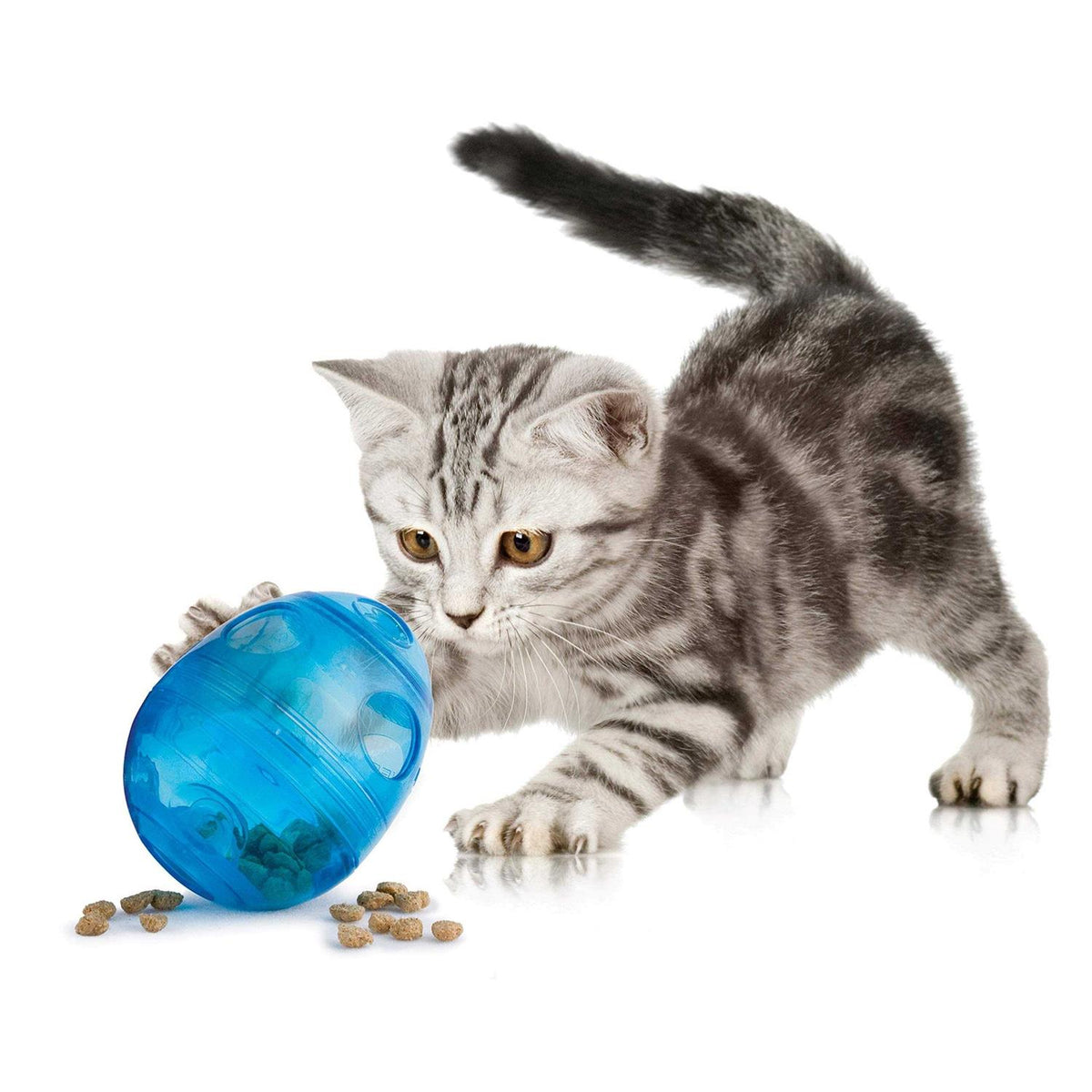 Egg-Cersizer Cat Toy A787