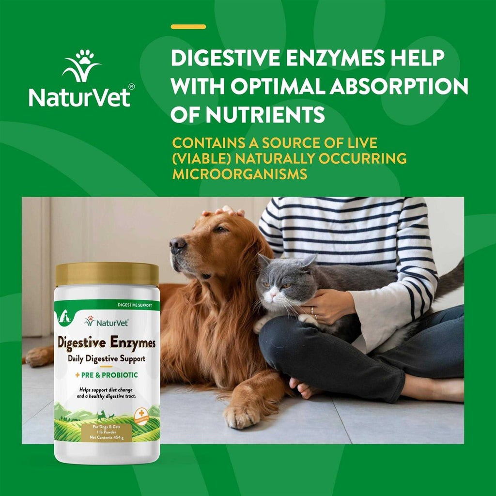 Digestive Enzymes A1712