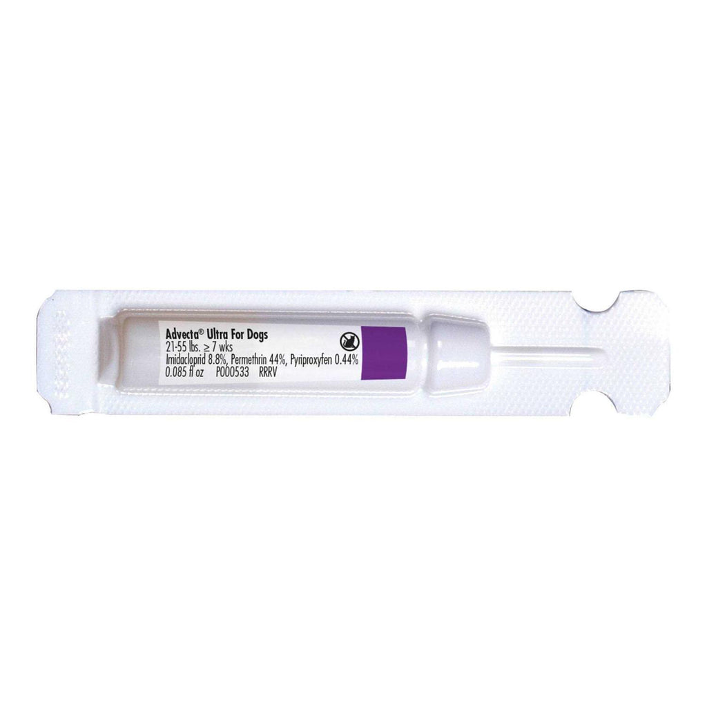 Topical Treatment for Dogs X841