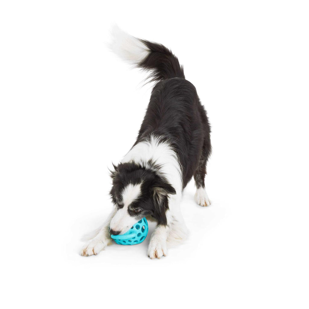 Cage Ball with Handle Dog Toy T3839