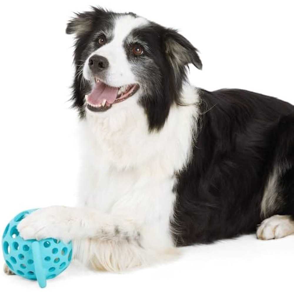 Cage Ball with Handle Dog Toy T3839