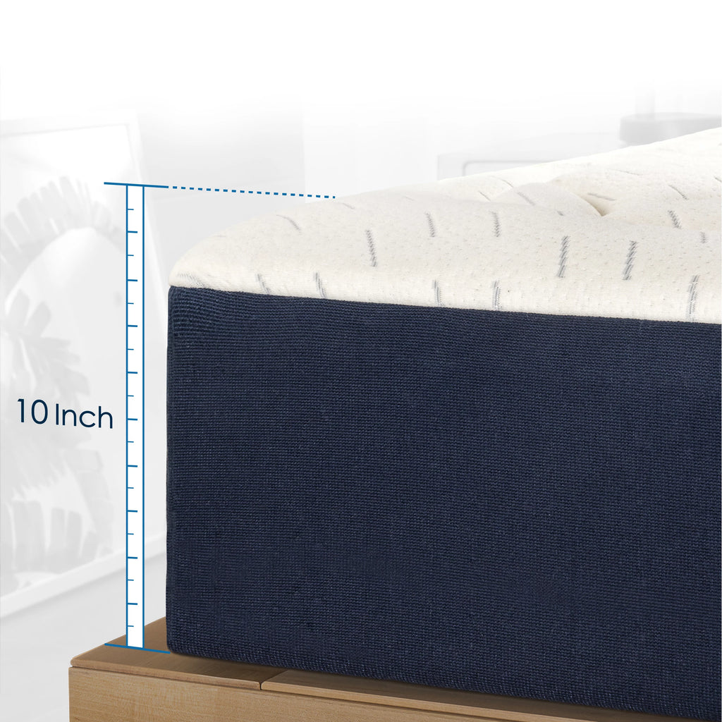 Memory Foam Mattress Plush Pillow Top King K9002