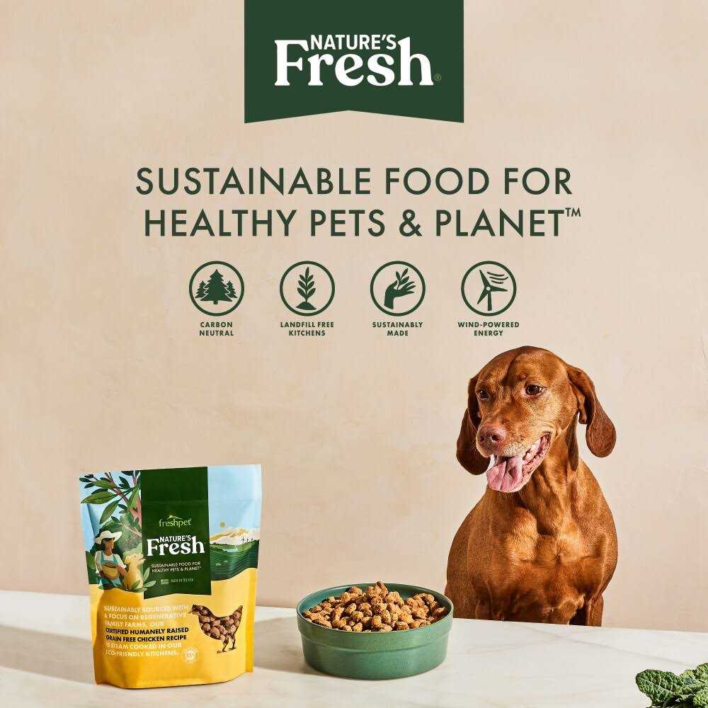 Grain Free Chicken Recipe Dog Food P770929