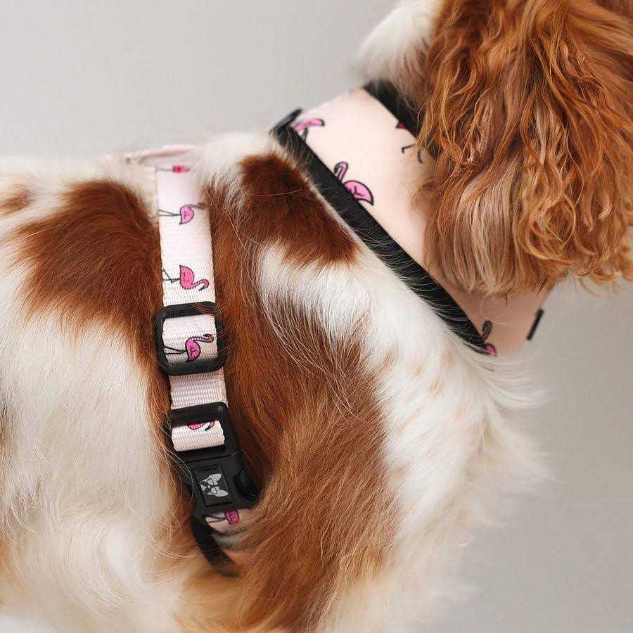 Reversible Dog Harness X243
