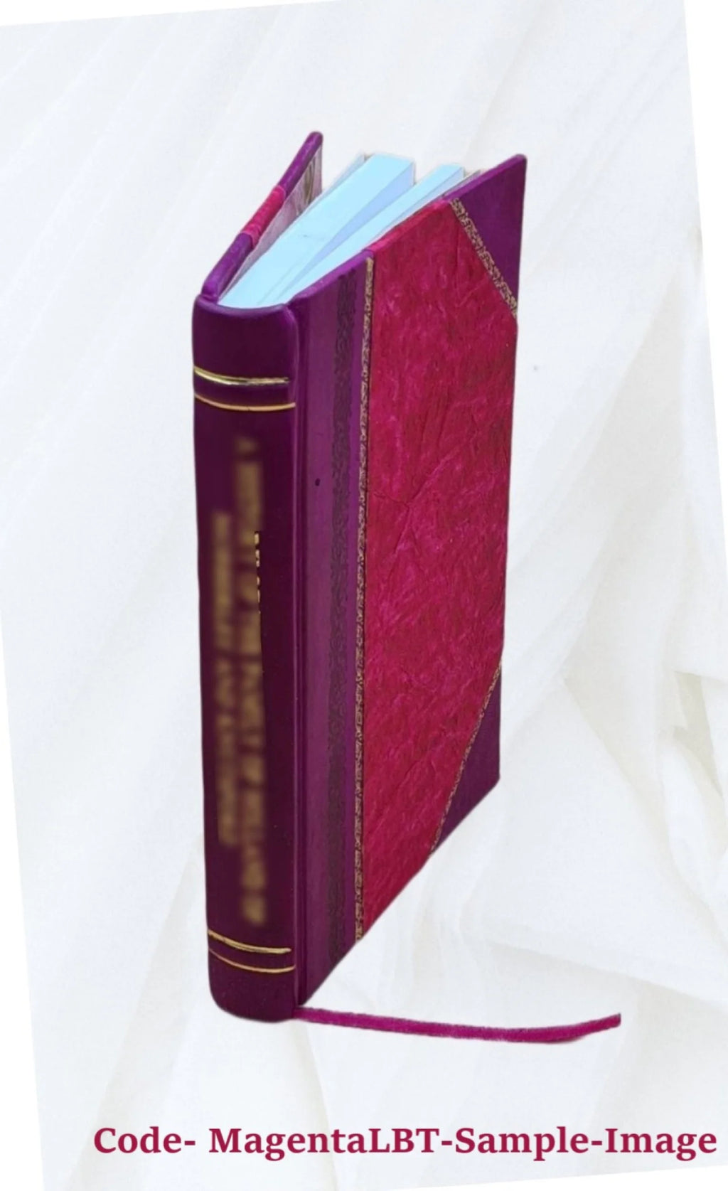 Leather Bound Book N759
