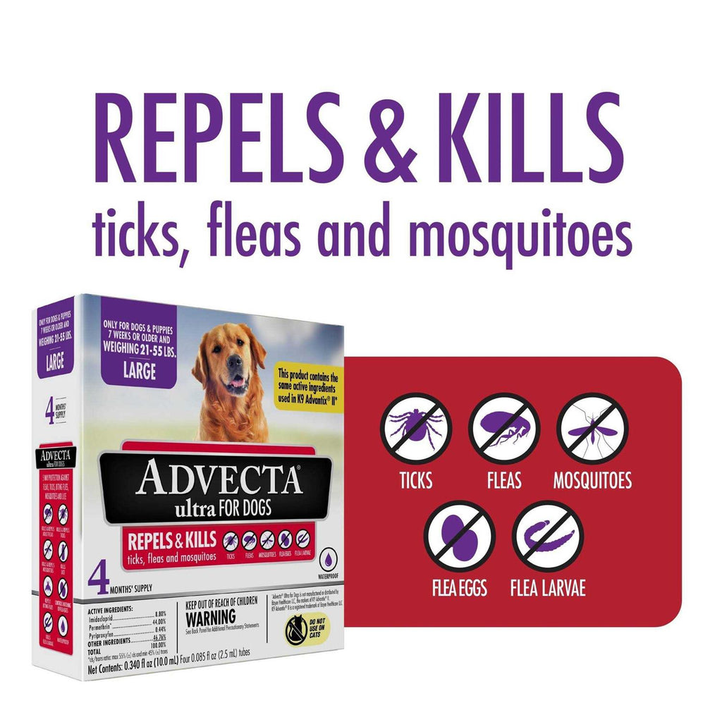 Topical Treatment for Dogs X841