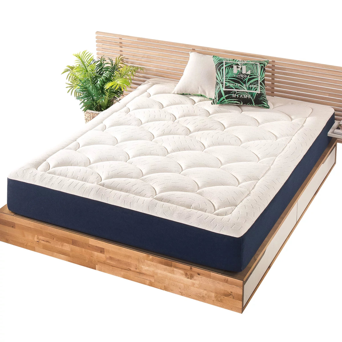 Memory Foam Mattress Plush Pillow Top King K9002