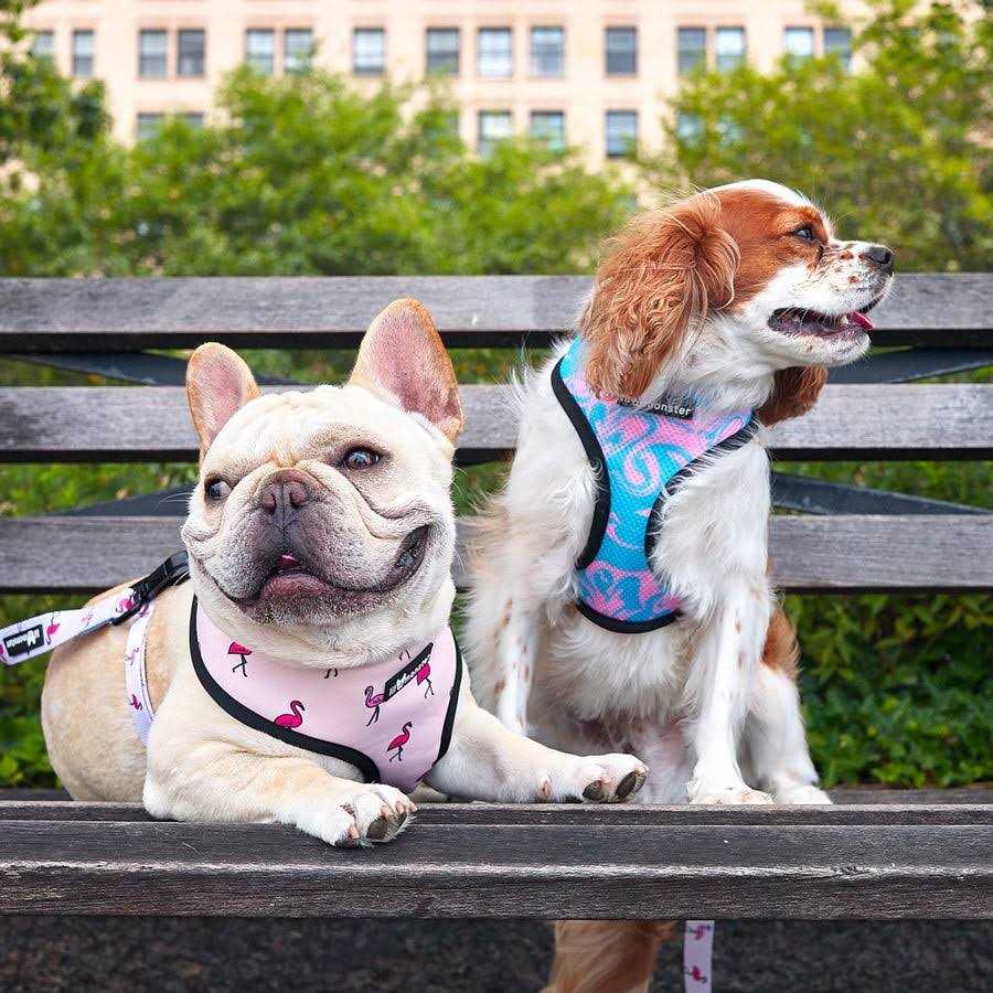 Reversible Dog Harness X243