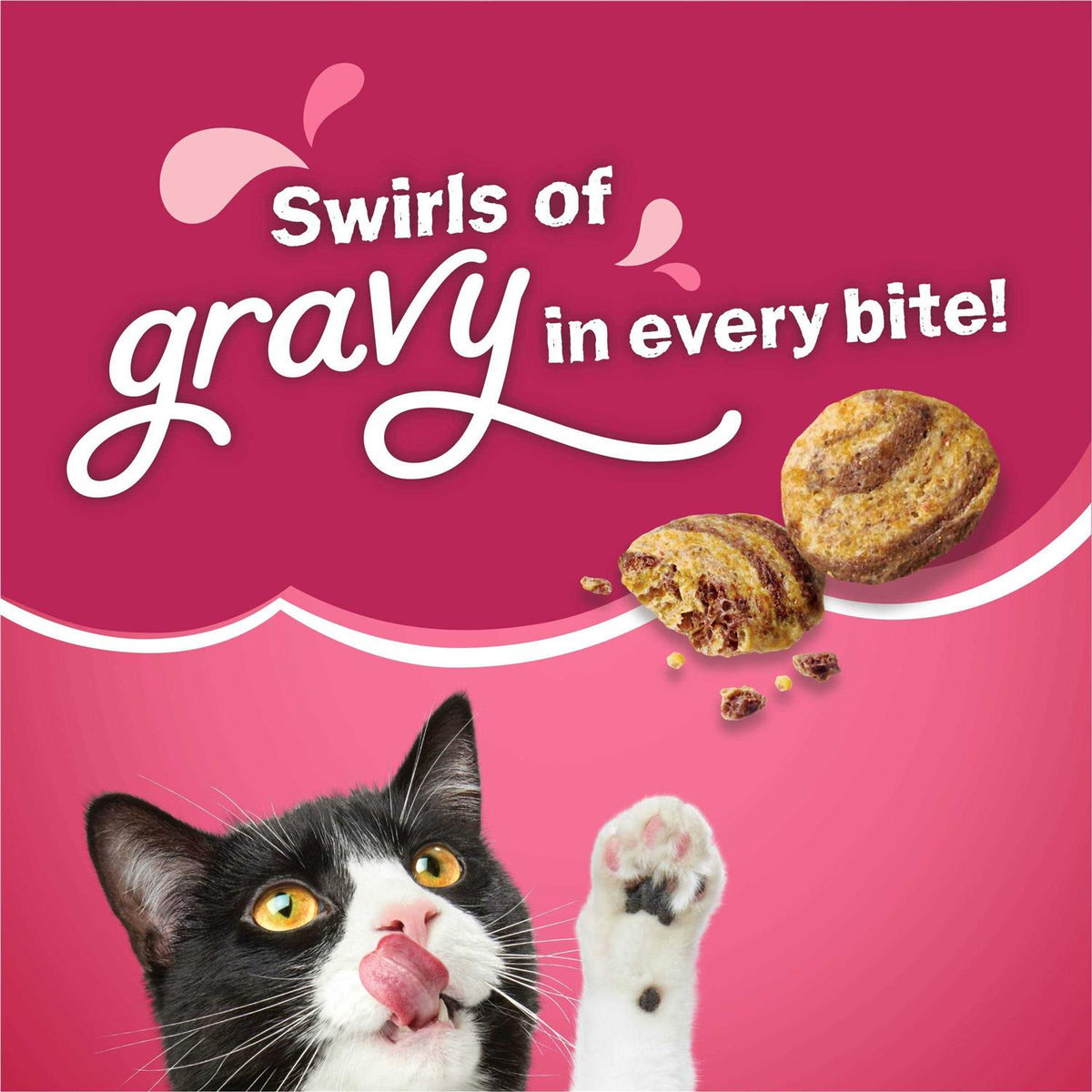 Dry Cat Food B938