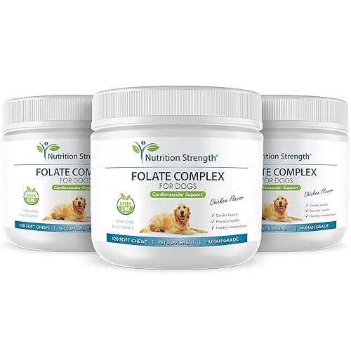 Folate for Dogs M563