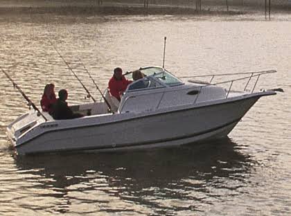 Euro Style Walk-Around Cuddy Cabin Boat Cover M554132