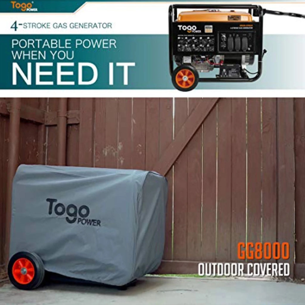 Portable Gasoline Powered Generator 8000 Watt H201